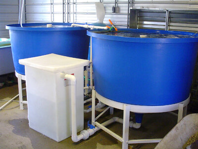 Large recirculating propagation system