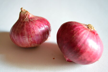 Two Onions Vegetables