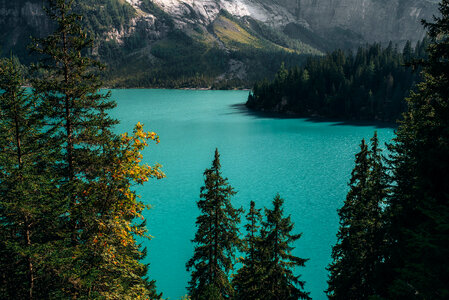 Winter Lake, Mountains & Forest photo