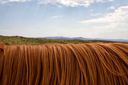 Hair horizon sky