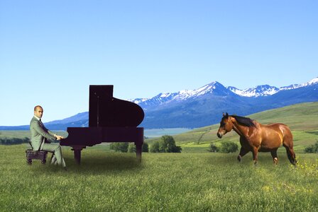 Zumwalt pianist outdoors