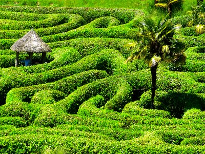 Garden cornwall south gland