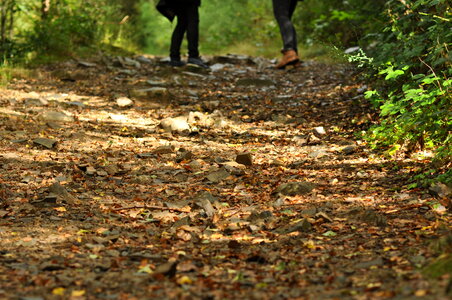 Hiker’s feet on forest floor photo