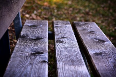 Out nature wood