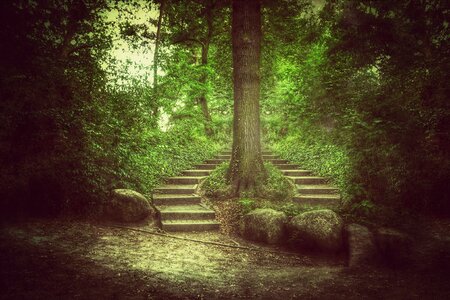 Landscape nature stairs