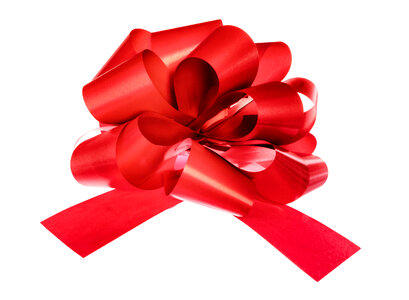 Red Bow photo