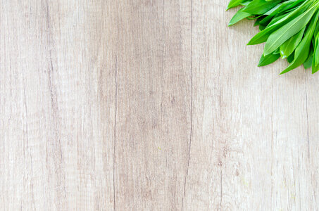 Wild Garlic on a Wooden Cutting Board photo