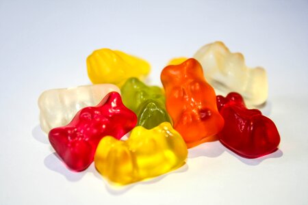 C&y Bears