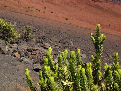 Maui volcano crater photo