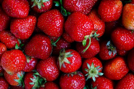Beautiful Photo diet food