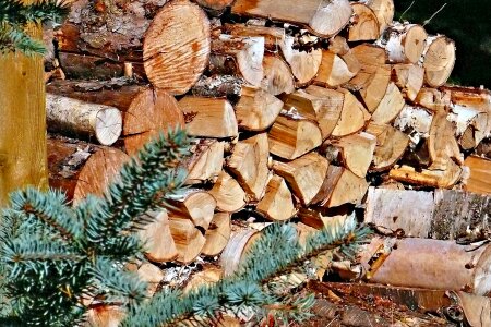Holzstapel timber cut photo