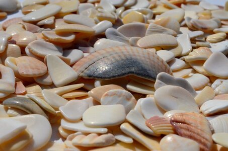 Fragments sea freight flotsam