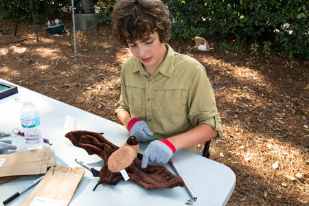 Time to examine a bat