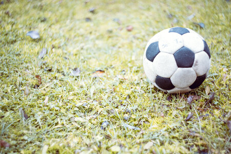 Soccer Shot Kick Goal photo