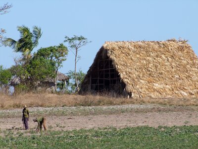 Hut thatched farm hut photo