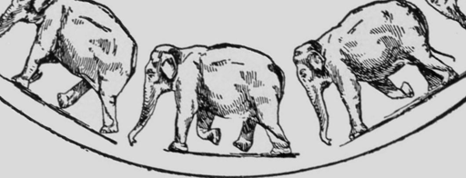 Descriptive Zoopraxography Elephant Ambling Animated 12