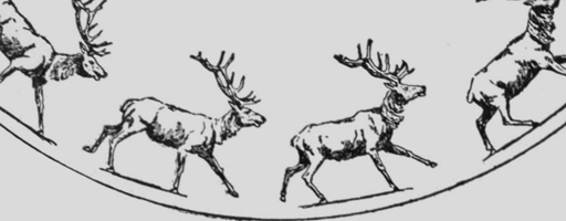 Descriptive Zoopraxography Elk Galloping Animated 13