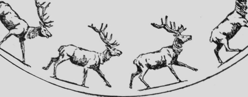 Descriptive Zoopraxography Elk Galloping Animated 14