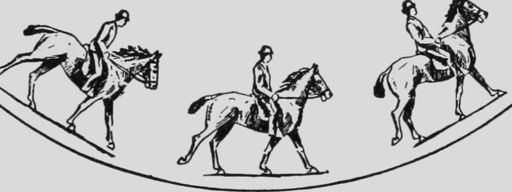 Descriptive Zoopraxography Horse Cantering Animated 13
