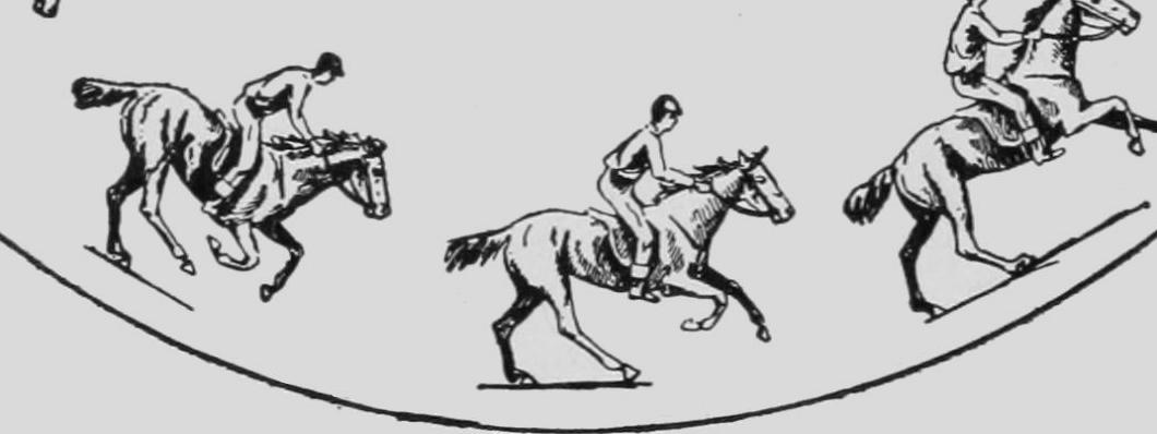 Descriptive Zoopraxography Horse Galloping Animated 12