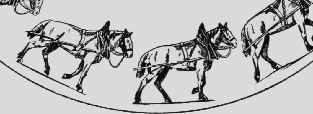 Descriptive Zoopraxography Horse Hauling Animated 13