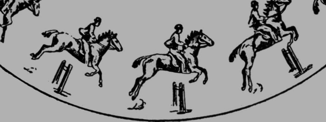 Descriptive Zoopraxography Horse Jumping Animated 13