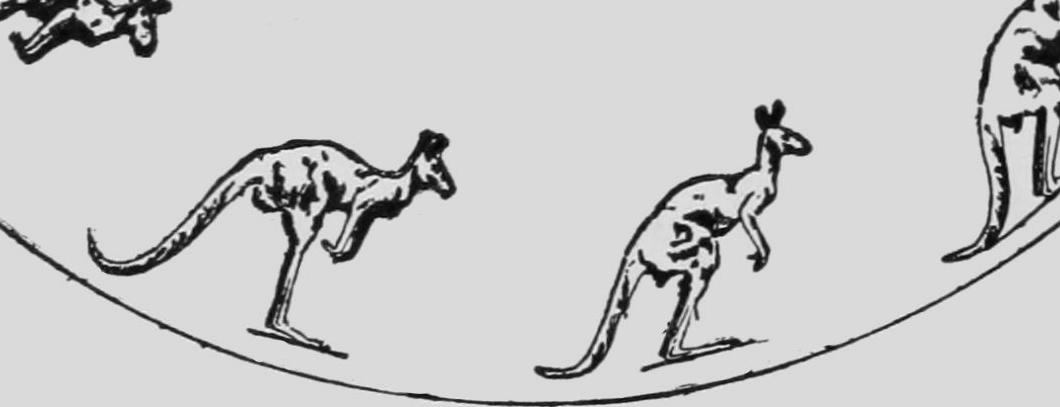 Descriptive Zoopraxography Kangaroo Jumping Animated 12