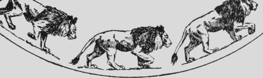 Descriptive Zoopraxography Lion Walking Animated 13