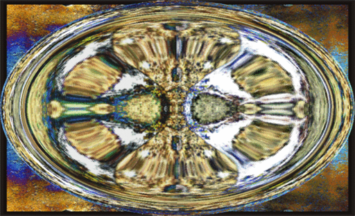 CELIPDISION1.gif