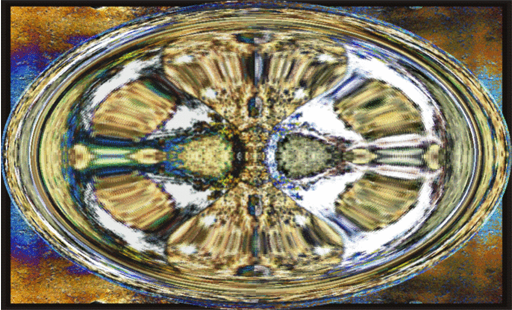 CELIPDISION.gif