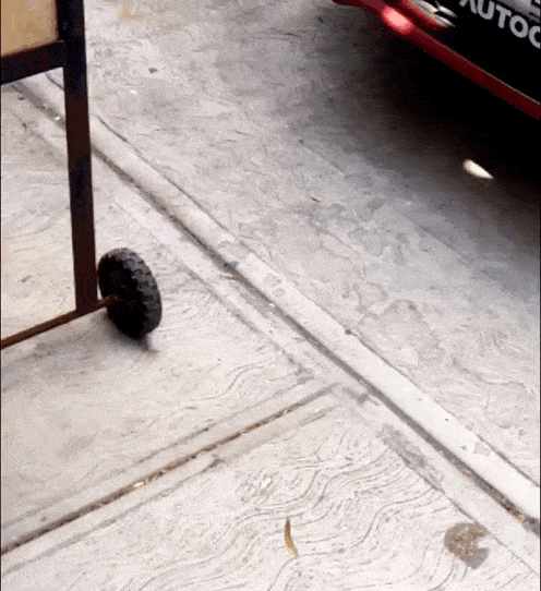 Leaf stuck in a thin spiderweb1.gif