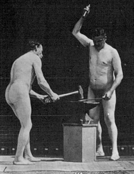 Nude blacksmiths hammering, animated from Animal locomotion, Vol. II, Plate 377 by Eadweard Muybridge.gif