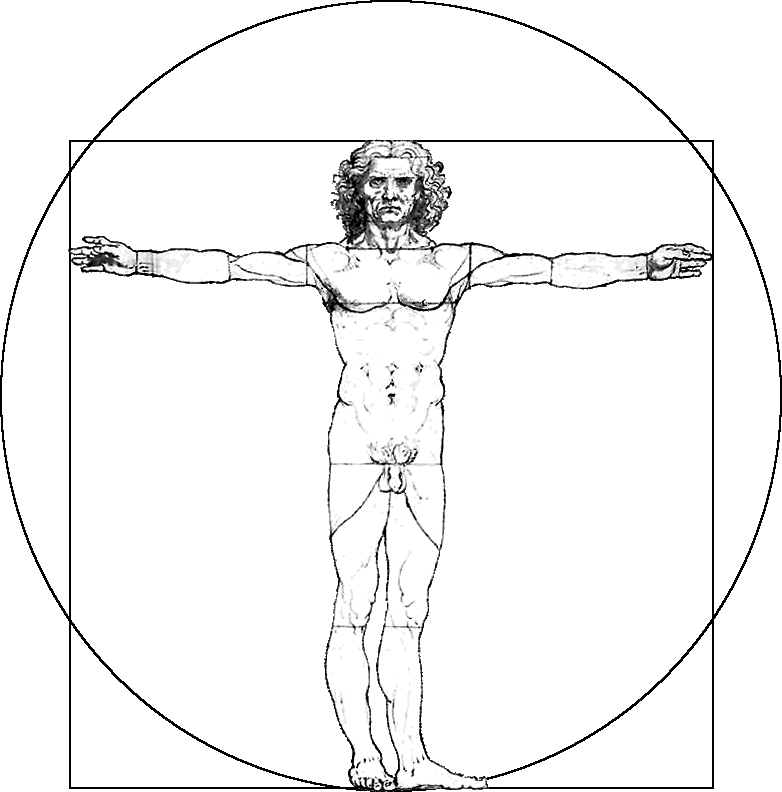 Vitruvian jumping jacks.gif