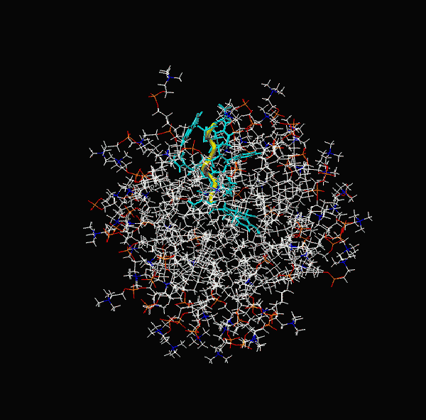 ACTH DPC.GIF