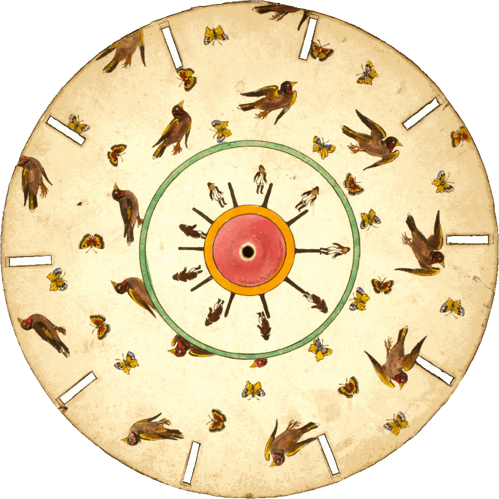 Optical illusion disc with birds, butterflies, and a man jumping-Corrected.gif