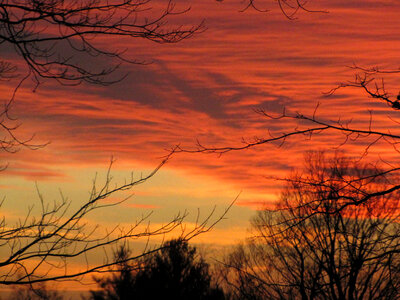 Red Dusk with clouds and branches photo