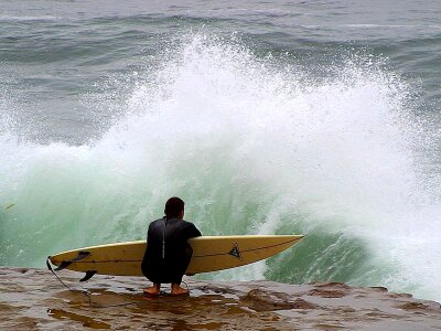 Phylum surfer photo