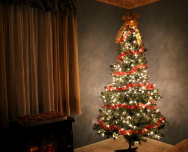 Christmas tree background christmas tree isolated decoration photo