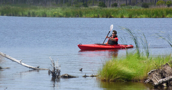 Kayaker on the water at Blackwater NWR