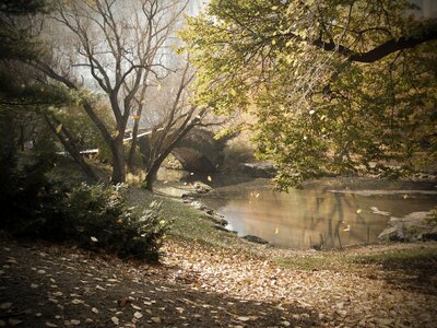York bridge autumn