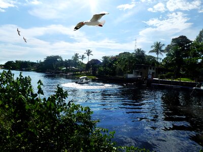 Clouds island serra