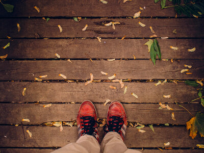 Red shoes photo