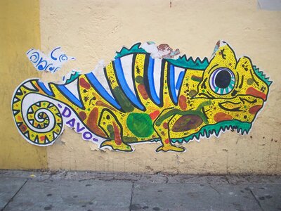 Design lizard animal