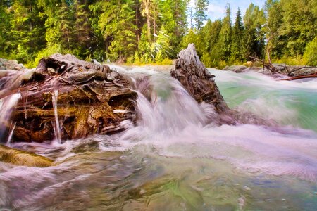 Stream nature water photo
