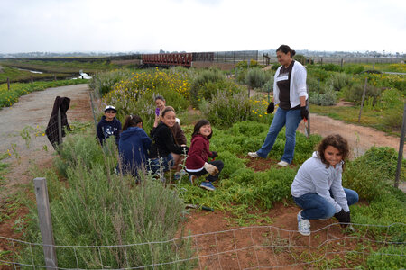 Elementary students participate in habitat stewardship