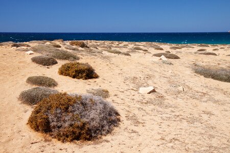 Dry grass landscape