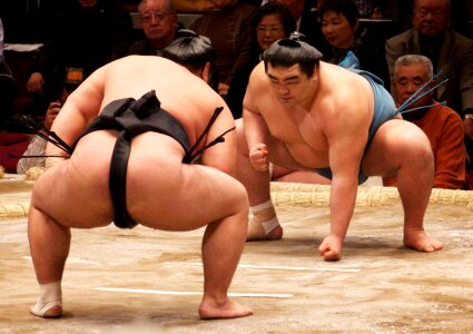Japanese sumo wresler photo