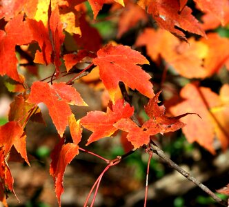 Fall autumn october