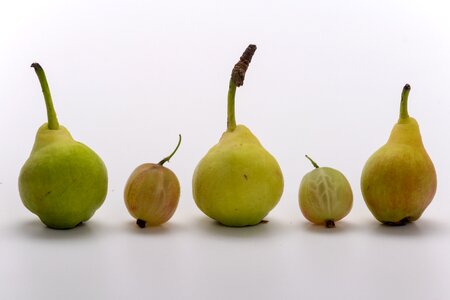 Pears macro ripe