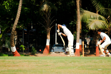 Kids Playing Cricket photo